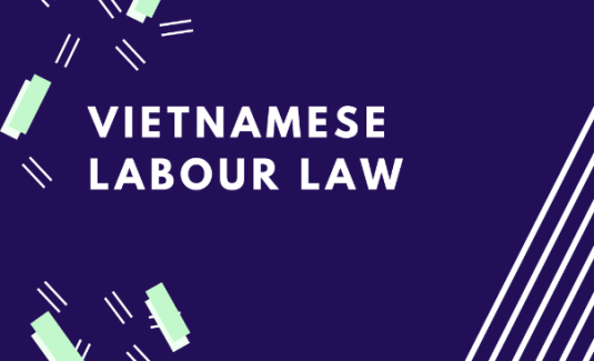 Vietnamese Labour Law 